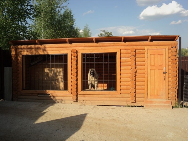 Строим домик для немецкой овчарки | Гавкуша | Дзен