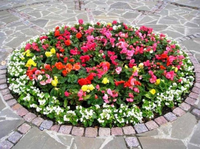 Оформление клумб и цветников во дворе своими руками фото