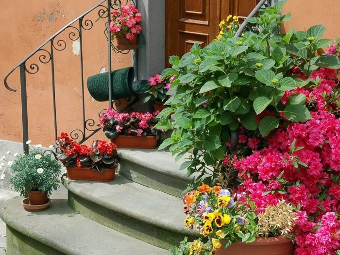 Umjetno cvijeće za kućni interijer: kako učinkovito ukrasiti dom 