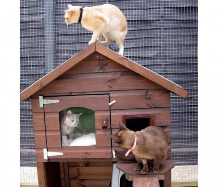 Теплая будка для кошки с обогревом