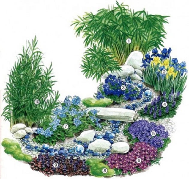 Цветник: размещение растений в цветнике, часть-1