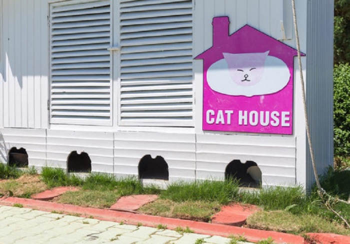 Как сделать дом для кошек на улице