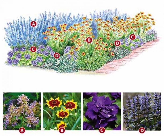 Цветник: размещение растений в цветнике, часть-1