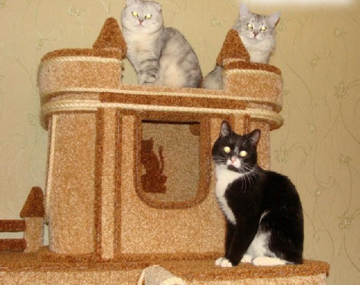 3 домика для кошки из газетных трубочек