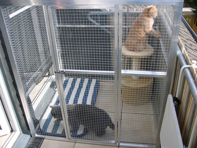 Клетки для кошек: большие выставочные клетки для котов, особенности переносок и ловушек. Как выбрать?