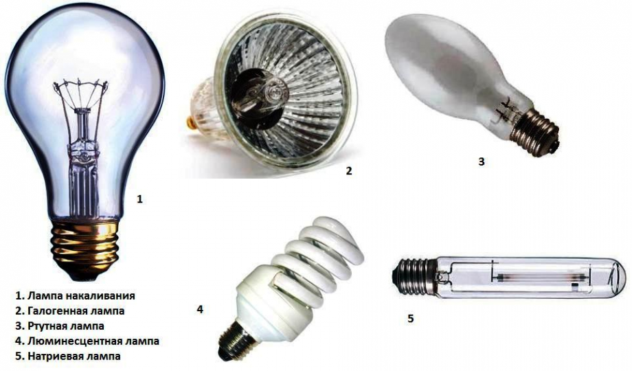 Виды ламп с картинками
