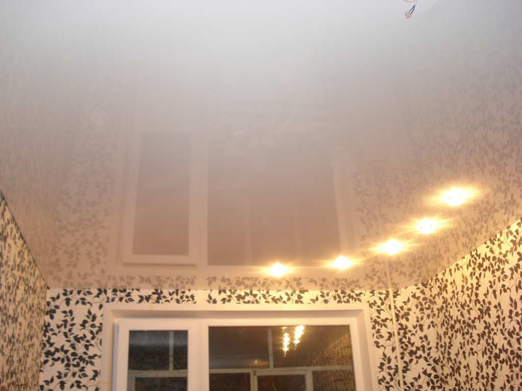 Одноуровневые натяжные потолки с точечными светильниками без люстры фото
