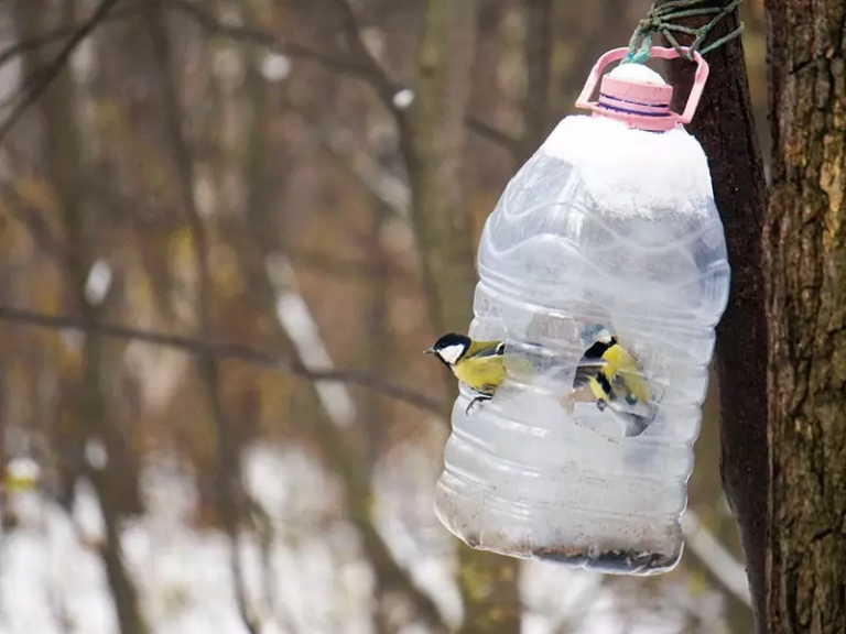 Кормушка для птиц из пластиковой бутылки: как делать из 2, бункерную .