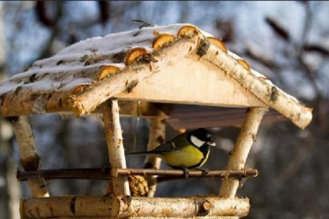 Как сделать кормушки для птиц из дерева своими руками