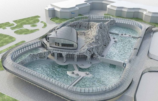 Зоопарк в Москве пополнится новым павильоном «Ластоногие»