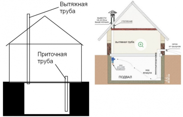 Конденсат в погребе (подвале) на потолке: как избавиться, почему образуется